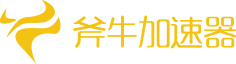 斧牛加速器官网logo